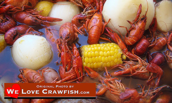 Photo of boiled Louisiana crawfish, corn on the cob, and new potatoes, hot out of the boiler