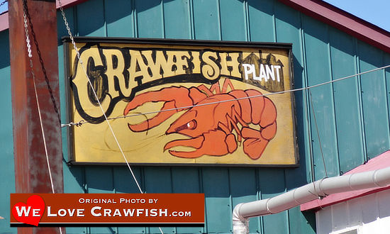 Pat's Crawfish Plant, Henderson Louisiana