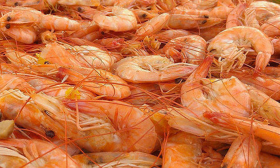Fresh shrimp from the Gulf of Mexico, a key ingredient in seafood gumbo