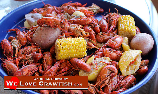 A perfect platter of boiled crawfish, along with corn on the cob, potatoes and an onion!