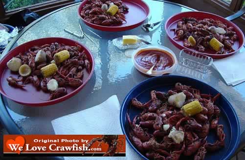 Enjoying the ultimate Breaux Bridge, Louisiana delicacy: boiled crawfish!
