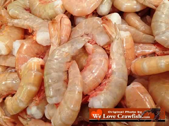 Fresh, Louisiana shrimp, a prime ingredient in Louisiana seasfood gumbo