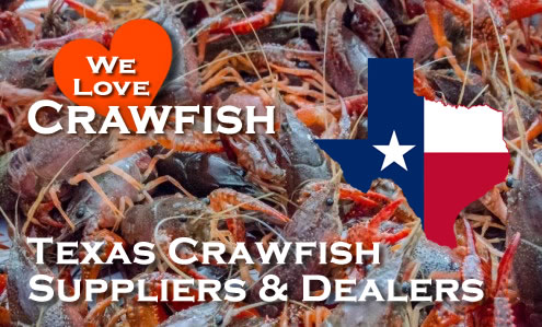 Texas Crawfish Suppliers and Dealers